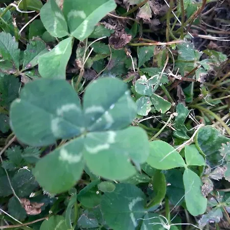 Stop & Stare Stars 3*