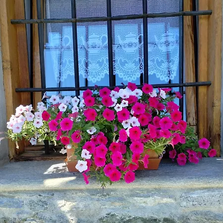 Stop & Stare Stars B&B Lignan