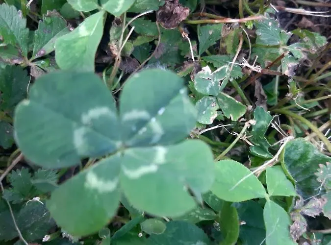 Stop & Stare Stars 3*