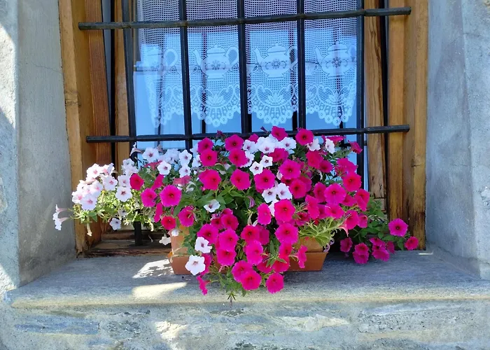 Stop & Stare Stars Couette-café Lignan